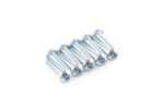 Tornillos x10 rosca 4-40