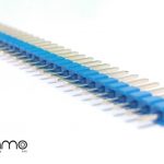 regleta 1x40 macho azul