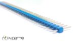 regleta 1x40 macho azul