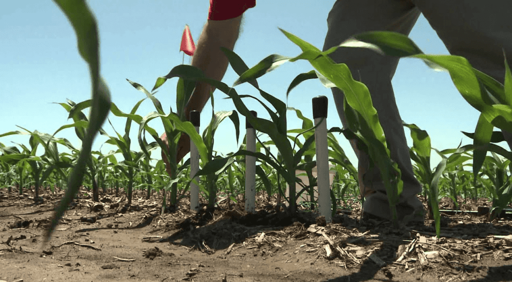 Temp-agricul Temp-agricul